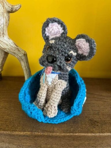 Crochet pet
